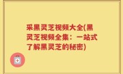 采黑灵芝视频大全(黑灵芝视频全集：一站式了解黑灵芝的秘密)