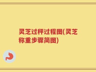 灵芝过秤过程图(灵芝称重步骤简图)