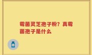 霉菌灵芝孢子粉？真霉菌孢子是什么