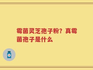 霉菌灵芝孢子粉？真霉菌孢子是什么