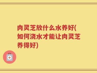 肉灵芝放什么水养好(如何浇水才能让肉灵芝养得好)