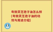 粤微灵芝孢子油怎么样(粤微灵芝孢子油的功效与用途介绍)