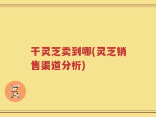 干灵芝卖到哪(灵芝销售渠道分析)