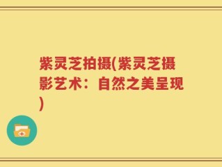 紫灵芝拍摄(紫灵芝摄影艺术：自然之美呈现)