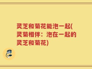 灵芝和菊花能泡一起(灵菊相伴：泡在一起的灵芝和菊花)