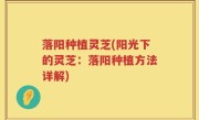 落阳种植灵芝(阳光下的灵芝：落阳种植方法详解)