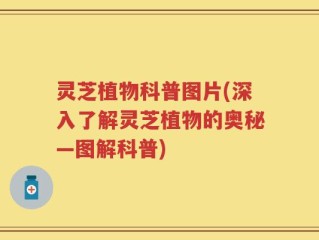 灵芝植物科普图片(深入了解灵芝植物的奥秘—图解科普)