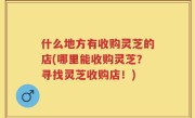 什么地方有收购灵芝的店(哪里能收购灵芝？寻找灵芝收购店！)