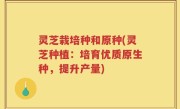灵芝栽培种和原种(灵芝种植：培育优质原生种，提升产量)