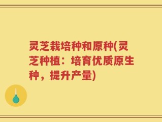 灵芝栽培种和原种(灵芝种植：培育优质原生种，提升产量)