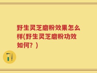 野生灵芝磨粉效果怎么样(野生灵芝磨粉功效如何？)