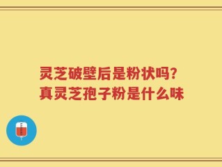 灵芝破壁后是粉状吗？真灵芝孢子粉是什么味