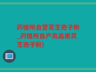 药植所自营灵芝孢子粉_药植所自产高品质灵芝孢子粉)