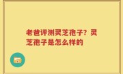 老爸评测灵芝孢子？灵芝孢子是怎么样的