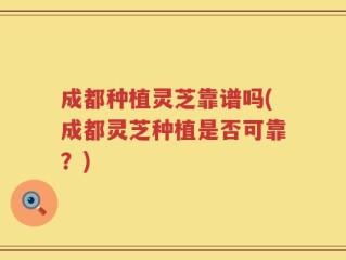 成都种植灵芝靠谱吗(成都灵芝种植是否可靠？)