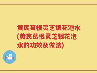 黄芪葛根灵芝银花泡水(黄芪葛根灵芝银花泡水的功效及做法)
