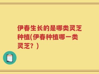 伊春生长的是哪类灵芝种植(伊春种植哪一类灵芝？)