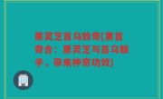 黑灵芝首乌致奇(黑首奇合：黑灵芝与首乌联手，带来神奇功效)