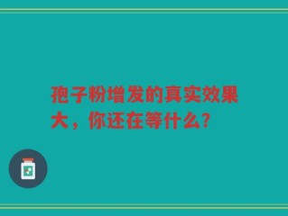 孢子粉增发的真实效果大，你还在等什么？