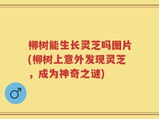 柳树能生长灵芝吗图片(柳树上意外发现灵芝，成为神奇之谜)