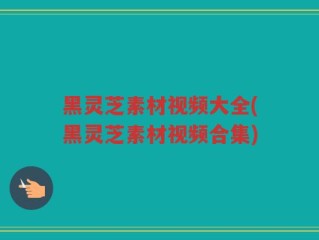 黑灵芝素材视频大全(黑灵芝素材视频合集)