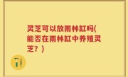 灵芝可以放雨林缸吗(能否在雨林缸中养殖灵芝？)