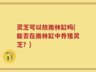 灵芝可以放雨林缸吗(能否在雨林缸中养殖灵芝？)