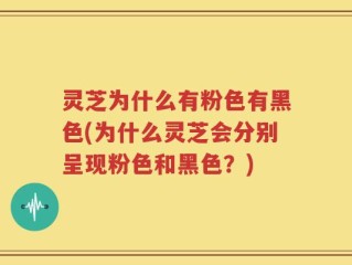灵芝为什么有粉色有黑色(为什么灵芝会分别呈现粉色和黑色？)