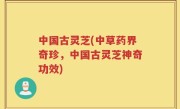 中国古灵芝(中草药界奇珍，中国古灵芝神奇功效)