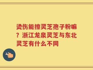 烫伤能擦灵芝孢子粉嘛？浙江龙泉灵芝与东北灵芝有什么不同
