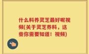 什么料养灵芝最好呢视频(关于灵芝养料，这些你需要知道！视频)