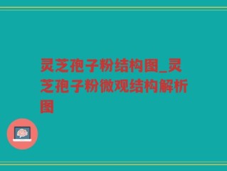 灵芝孢子粉结构图_灵芝孢子粉微观结构解析图