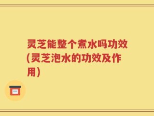 灵芝能整个煮水吗功效(灵芝泡水的功效及作用)