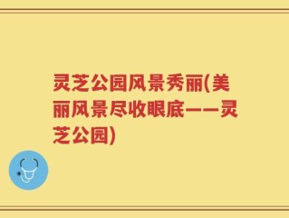 灵芝公园风景秀丽(美丽风景尽收眼底——灵芝公园)