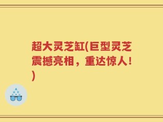 超大灵芝缸(巨型灵芝震撼亮相，重达惊人！)