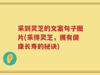 采到灵芝的文案句子图片(采得灵芝，拥有健康长寿的秘诀)