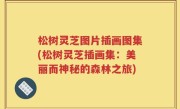 松树灵芝图片插画图集(松树灵芝插画集：美丽而神秘的森林之旅)