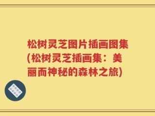 松树灵芝图片插画图集(松树灵芝插画集：美丽而神秘的森林之旅)