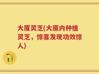 大厦灵芝(大厦内种植灵芝，惊喜发现功效惊人)