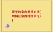 灵芝的室内养殖方法(如何在室内种植灵芝？)