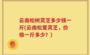云南松树灵芝多少钱一斤(云南松茸灵芝，价格一斤多少？)