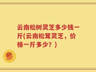 云南松树灵芝多少钱一斤(云南松茸灵芝，价格一斤多少？)