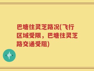 巴塘往灵芝路况(飞行区域受限，巴塘往灵芝路交通受阻)