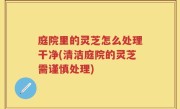 庭院里的灵芝怎么处理干净(清洁庭院的灵芝需谨慎处理)