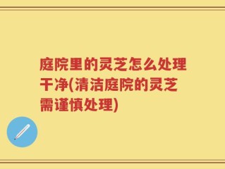 庭院里的灵芝怎么处理干净(清洁庭院的灵芝需谨慎处理)