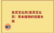紫灵芝北芪(紫灵芝北芪：草本植物的双重补益