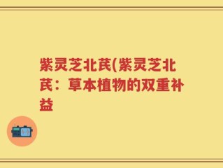紫灵芝北芪(紫灵芝北芪：草本植物的双重补益
