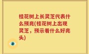 桂花树上长灵芝代表什么预兆(桂花树上出现灵芝，预示着什么好兆头)