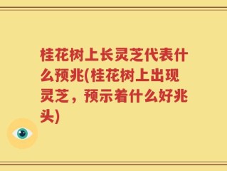 桂花树上长灵芝代表什么预兆(桂花树上出现灵芝，预示着什么好兆头)