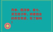 丹参、西洋参、田七、灵芝孢子粉，四者结合的养生奇迹，你了解吗？